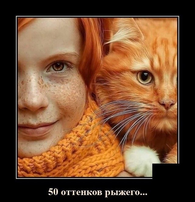 50 оттенков рыжего
