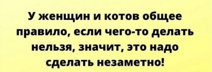 У женщин и котов общее правило если чего то делать нельзя значит это надо сделать незаметно