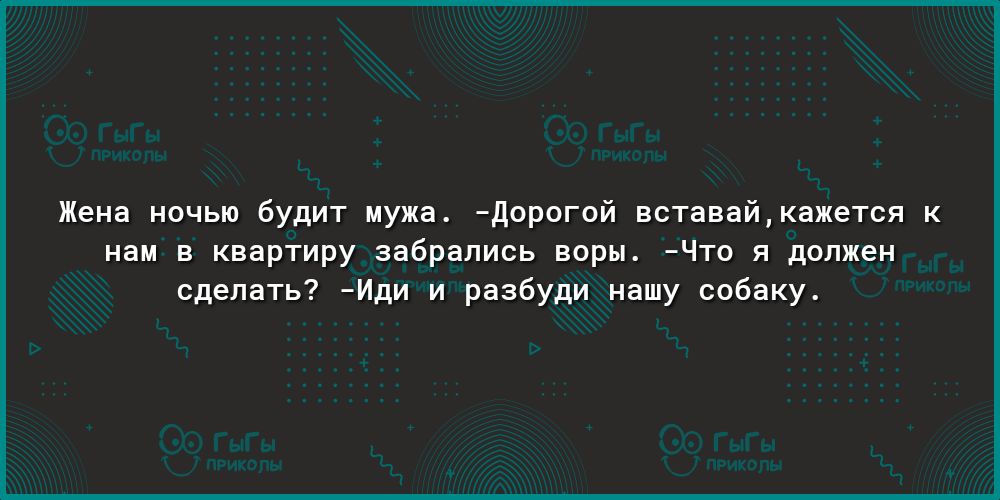 Жена ночью будит мужа дорогой вставайкажется к нам в квартиру забрались воры Что я должен сделать Иди и разбуди нашу собаку