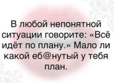 В любой непонятной ситуации говорите Всё идёт по плану Мало ли какой ебнутый у тебя план