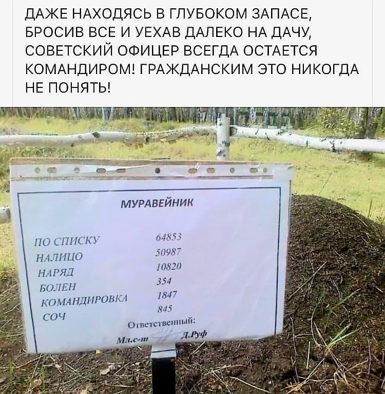 дАЖЕ НАХОДЯСЬ В ГПУБОКОМ ЗАПАСЕ ЕРОСИЕ ВСЕ И УЕХАВ ДАЛЕКО НА ДАЧУ СОВЕТСКИЙ ОФИЦЕР ВСЕГДА ОСТАЕТСЯ КОМАНДИРОМ ГРАЖДАНСКИМ ЭТО НИКОГДА НЕ ПОНЯТЬ щджщщ мурдвгиник ш июл 35 т п шт и _ Пн п н чп иш ьн дп шнщичм ч