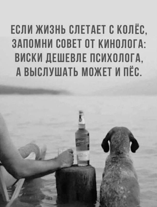 ЕСЛИ ЖИЗНЬ СЛЕТАЕТ С КОЛЁС, ЗАПОМНИ СОВЕТ ОТ КИНОЛОГА: ВИСКИ ДЕШЕВЛЕ ПСИХОЛОГА, А ВЫСЛУШАТЬ МОЖЕТ И ПЁС.