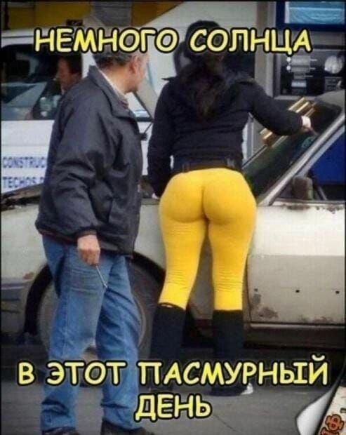 НЕМНОГО СОЛНЦА В ЭТОТ ПАСМУРНЫЙ ДЕНЬ