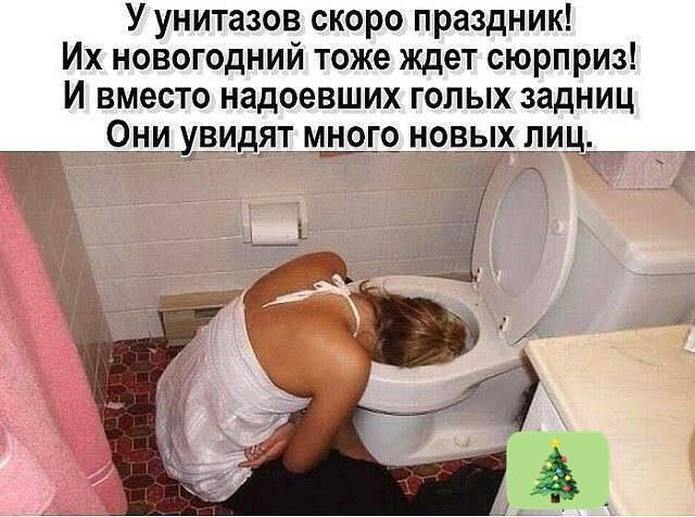 У унитазов скоро праздник! Их новогодний тоже ждёт сюрприз! И вместо надоевших голых задниц Они увидят много новых лиц.