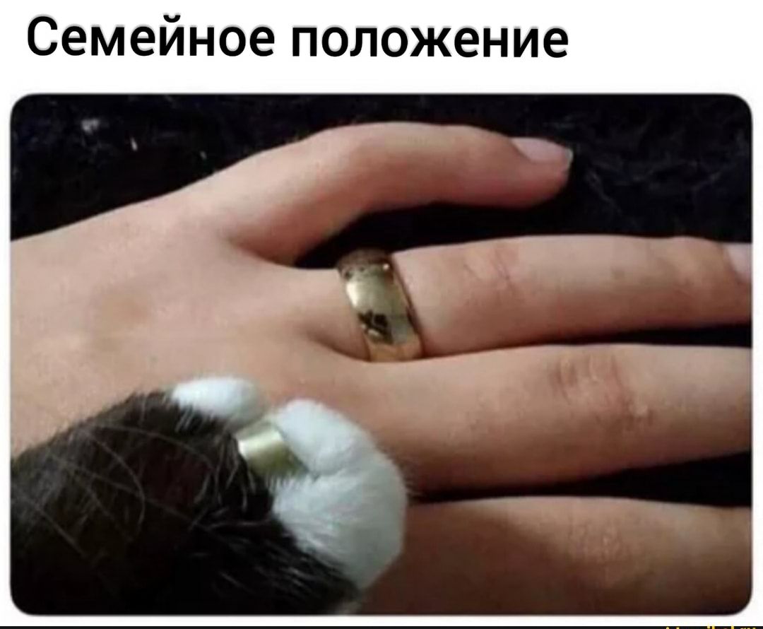 Семейное положение