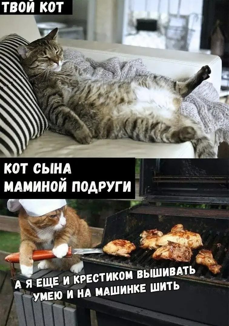твой КОТ кот сынА иАииной омут _ і 94 ОТИКОМ ВЫШИВАТЬ _ крв ЕЩЕ и мшинкв ши ить УМЕ0 И НА 1