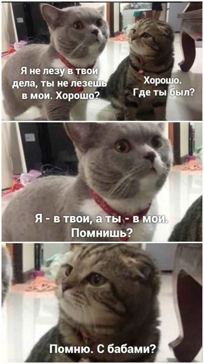 Помню С бабами