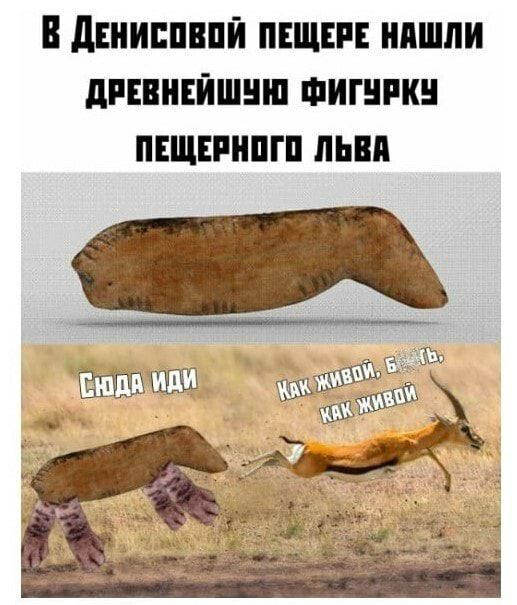 в дЕиИЕПВПЙ ПЕЩЕРЕ НПШПИ дРЕВНЕЙШНШ ФИШРК ПЕЩЕРНПШ ЛЬВП