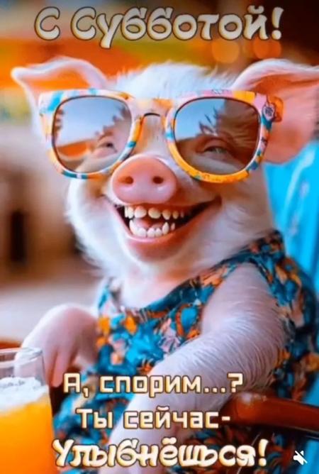 https://cdn.gigi.click/images/d9834cb4f9f9ce8dc62482aa196d9d84.jpg